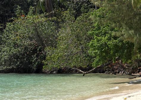 Beautiful Scenery And Soft Wave On Sand Beach At Koh Ngam Near Koh