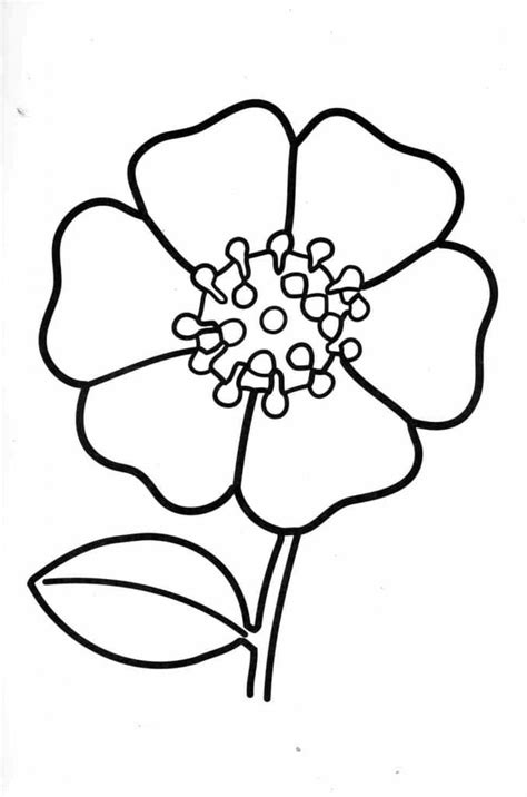 Раскраска Мак 🖍. Раскрашиваем любимыми цветами бесплатно и с улыбкой 👍