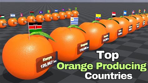 Top Orange Producing Countries In The World Youtube