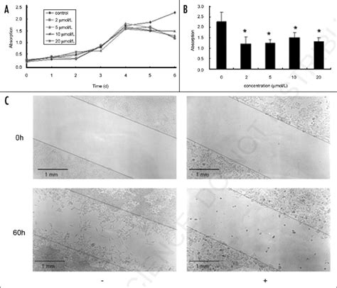 Effect Of 5 Aza Dc On Colon Cell Proliferation And Migration A Download Scientific Diagram