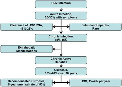 Hepatitis C Virus And Hepatocellular Carcinoma A Narrative Review