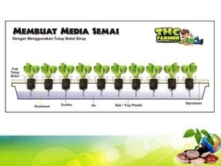 Belajar Mengenal Hidroponik Bagi Pemulaa Ppt