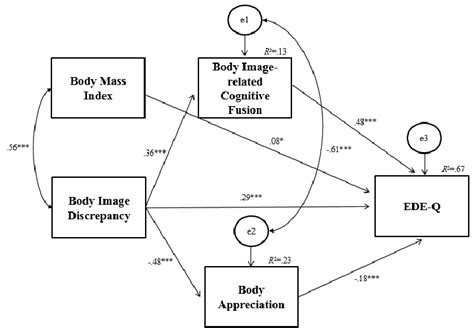 Final Path Model Standardized Path Coefficients Among Variables Are