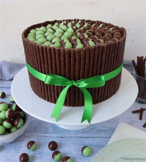 Chocolate Mint Cake