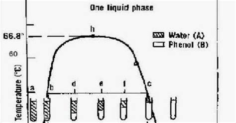 Solubility Phase Diagram Of Phenol Water System Draw Mutual