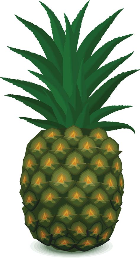 Pineapple Png