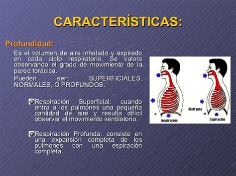 Signos Vitales Respiración Y Presión Arterial