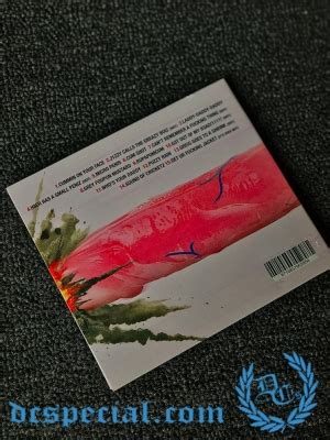 Greazy Puzzy Fuckerz Cd Cumikaze Dc S Special Hardcore Streetwearshop