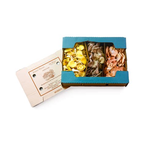 Oyster Mushroom Trio