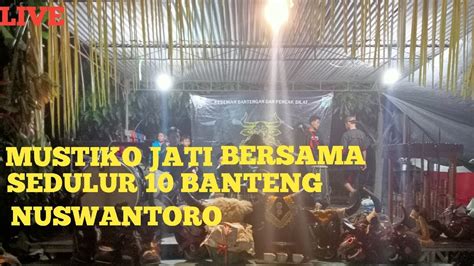 PENCAK SILAT DAN BANTENGAN MUSTIKO JATI 10 BOLO BANTENG NUSWANTORO