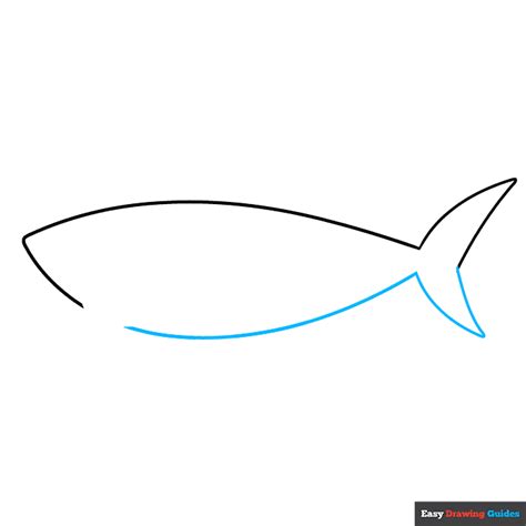 How to Draw an Easy Shark for Kids - Really Easy Drawing Tutorial