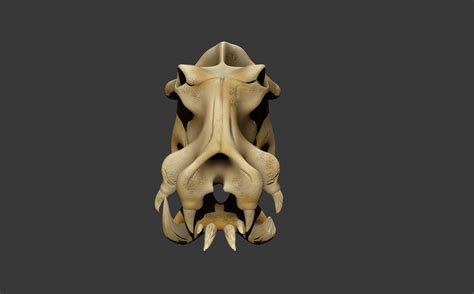 Remy Turner Broadhead Hippo Skull Sculpt