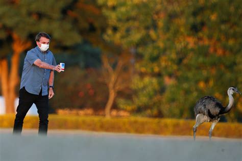 Coronavirus en América Latina algunas autoridades respaldan tratamientos cuestionables Infobae