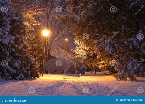 Beautiful Winter Night Background. Stock Photo - Image of nature ...