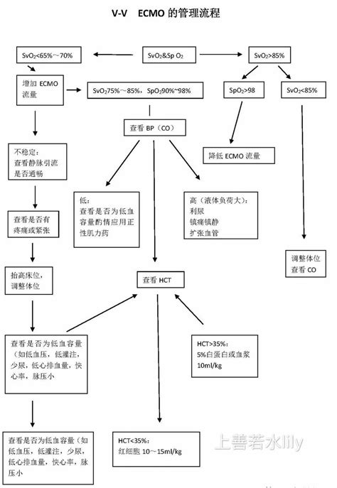 向死而生 Ecmo 搜狐大视野 搜狐新闻