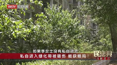 《民法典通解通读》20240124以典判案：高空抛物 让你赔偿冤不冤？北京时间