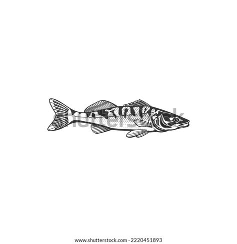 Mackerel Fish Vector Icon Saltwater Creature Stock Vector Royalty Free