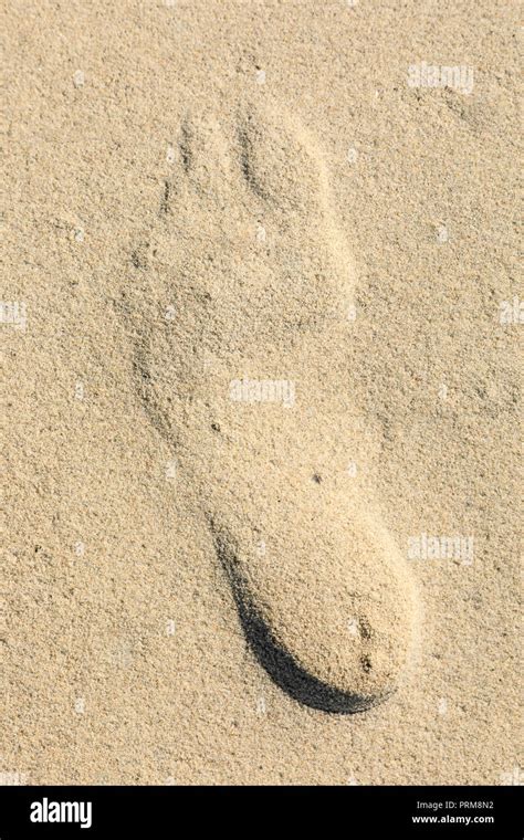 Umriss Auf Dem Sand Stockfotos Und Bilder Kaufen Alamy