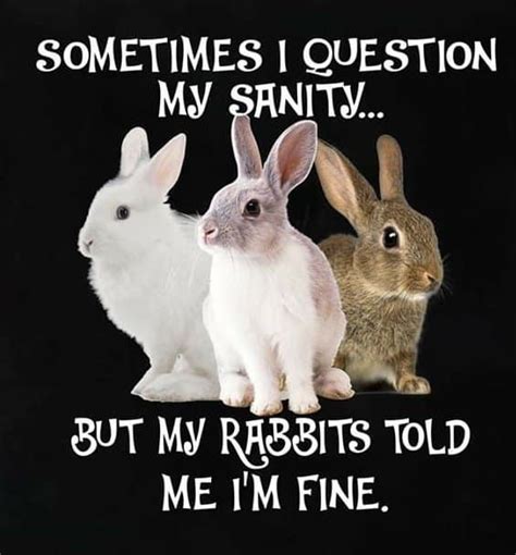 Bunnies Are The Best Therapists 042420 Therapy Bunny Quotes