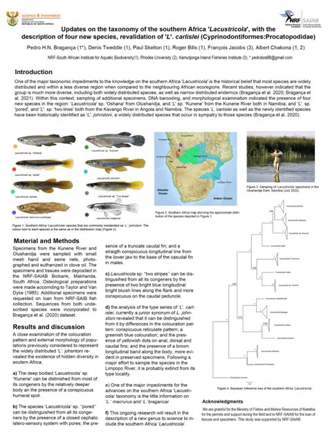 Pdf Updates On The Taxonomy Of The Southern Africa Lacustricola