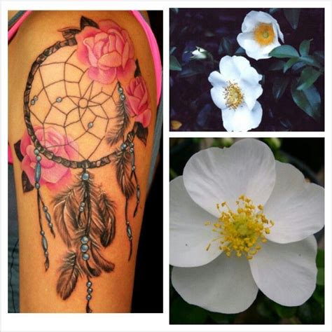 Cherokee Rose Tattoo - Wolf cherokee rose tattoo | Native tattoos ...