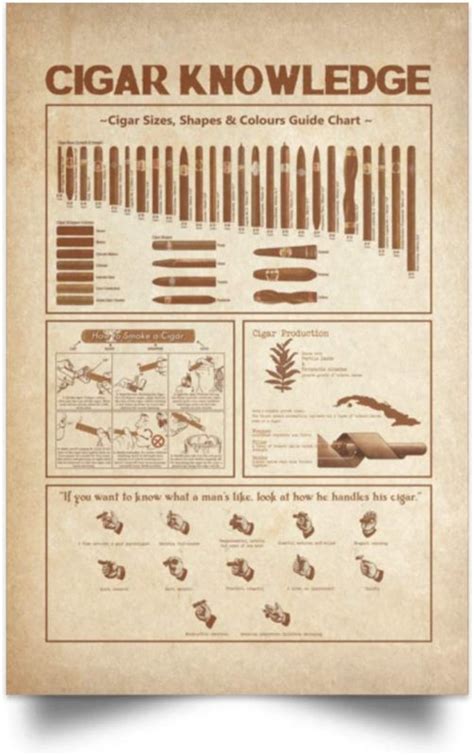 Cigar Knowledge Cigar Shapes And Sizes Poster Blinkenzo