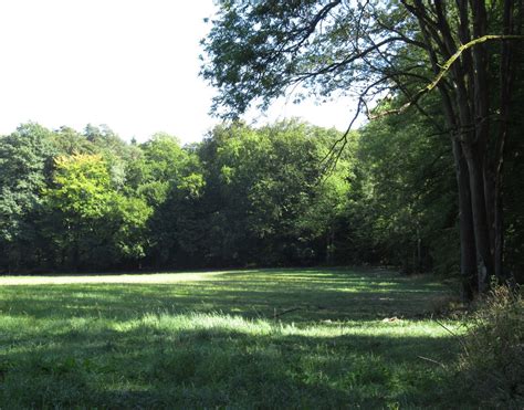 Kunst Marlies Blauth Taunus Wald Fotos