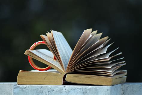картинки : крыло, дерево, лист, чтение, Открой книгу, Крупным планом ...