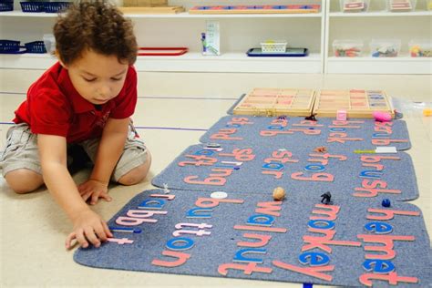 The Montessori Curriculum | Montessori Academy of Carrollwood