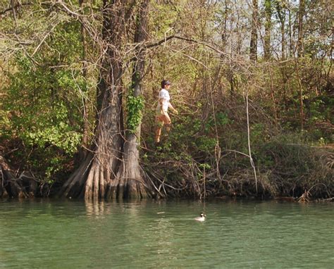 Lady Bird Lake | AustinTexas.gov