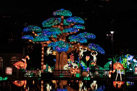 Philadelphia Chinese Lantern Festival in Franklin Square: what to ...