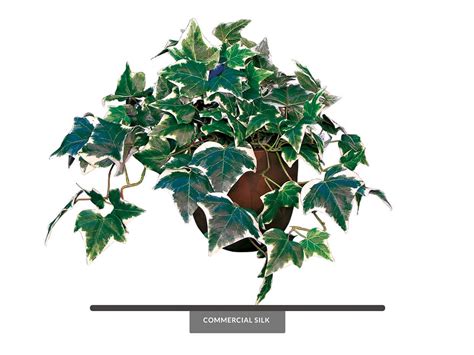 Fake Algerian Ivy Vines Variegated Faux Ivy Vines Commercial Silk