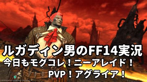 【ルガディン男のff14実況】今日もモグコレ！ニーアレイド、pvp！【gaia】【暁月】 Ff14動画まとめ