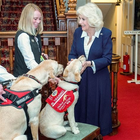 Le prince Charles Camilla Parker Bowles et lui ont été vaccinés