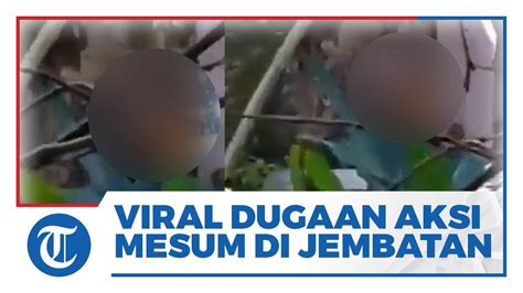 Viral Video Dugaan Adegan Mesum Di Bawah Jembatan Di Kota Yogyakarta