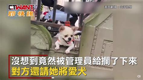 Ctwant 生活新聞 陸飼主帶愛犬到公園玩 遭保全攔下還要繳費 Yahoo奇摩汽車機車