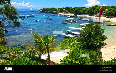 beach in Sulawesi Indonesia Stock Photo - Alamy