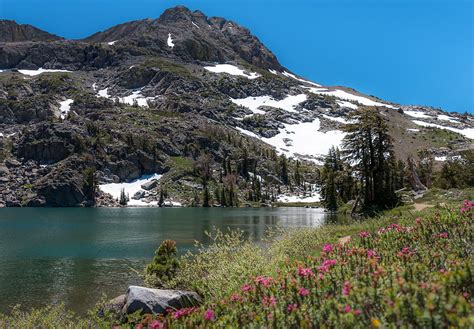 Winnemucca Lake Hike: A Beautiful Wildflower Hike Near Lake Tahoe