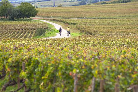 La Voie Des Vignes à Vélo Parcours De Santenay à Chalon Sur Saône