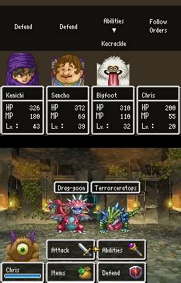 Dragon Quest V Hand Of The Heavenly Bride DS Buy Now At Mighty