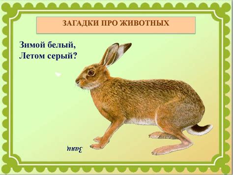 Волшебный мир зверей и птиц Евгения Чарушина - презентация онлайн