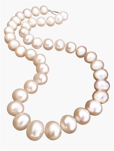 Pearl Necklace Jewellery Pearl Necklace Free Transparent Png Pearl