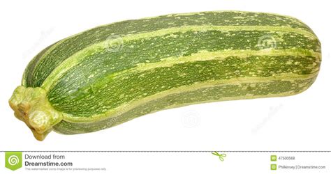 Fresh Marrow Squash Stock Photo Image Of Long Produce