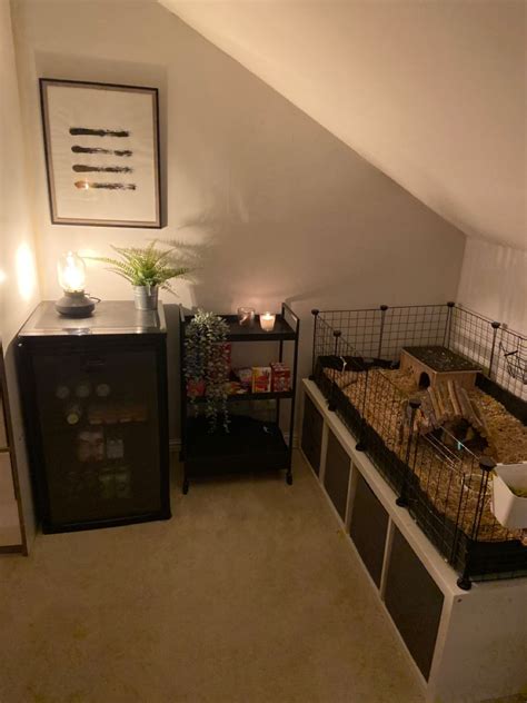 Guinea pig cage | Pig house, Guinea pig cage, Diy guinea pig cage