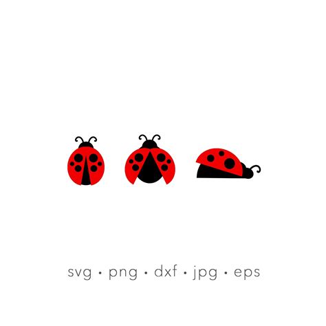 Ladybug Svg Ladybugs Svg Bundle Ladybug Sublimation Bug Laser Cut