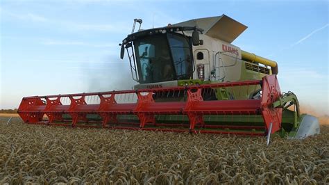 Claas Lexion 760 Working Hard In The Field Threshing Wheat Harvest