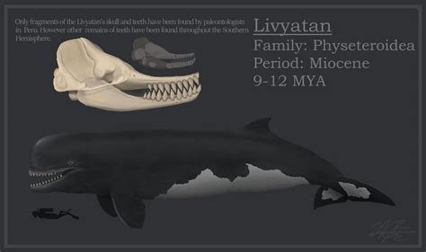 Livyatan by EvgeniH on DeviantArt