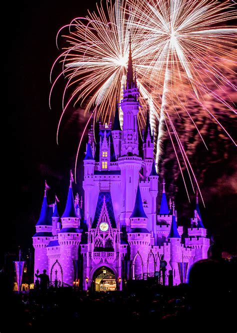 Disney Castle Fireworks