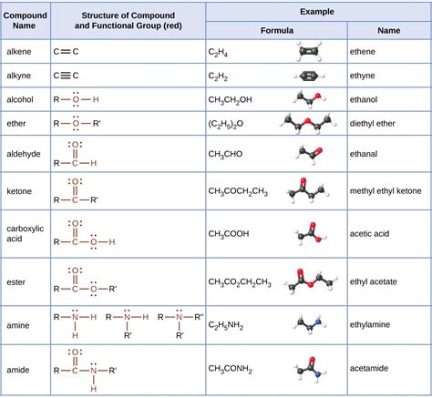 Amines And Amides Chemistry For Majors