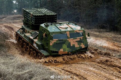 PZH-10